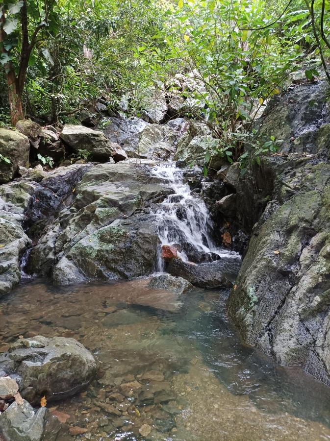 Finca La Selvita Chocolate Experience Buritaca Dış mekan fotoğraf