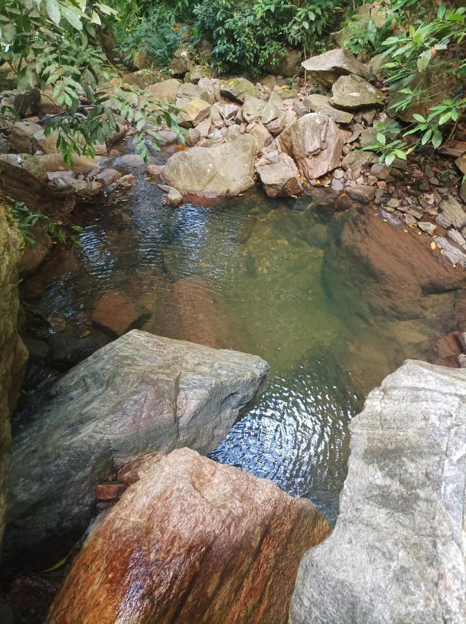 Finca La Selvita Chocolate Experience Buritaca Dış mekan fotoğraf