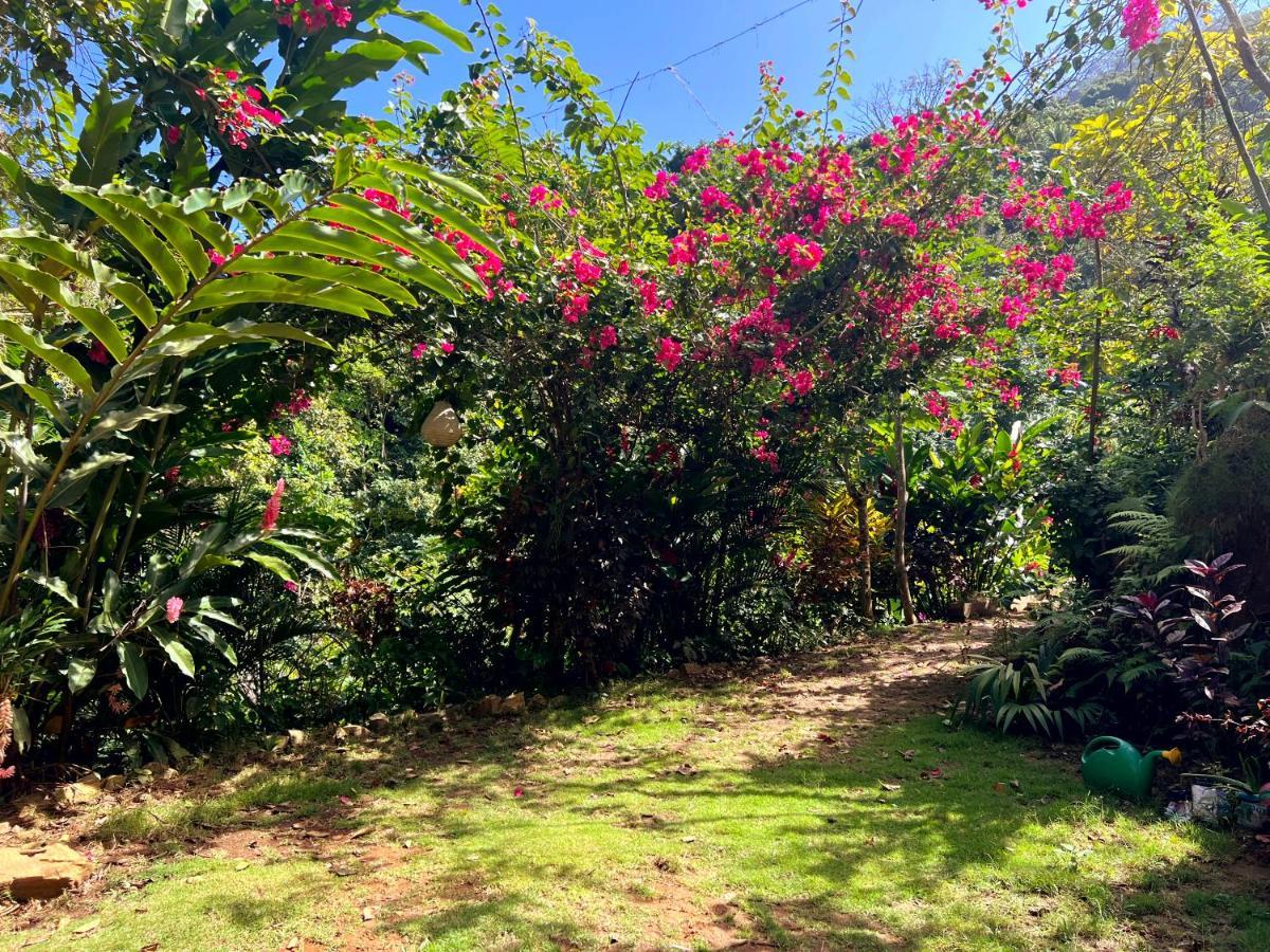 Finca La Selvita Chocolate Experience Buritaca Dış mekan fotoğraf