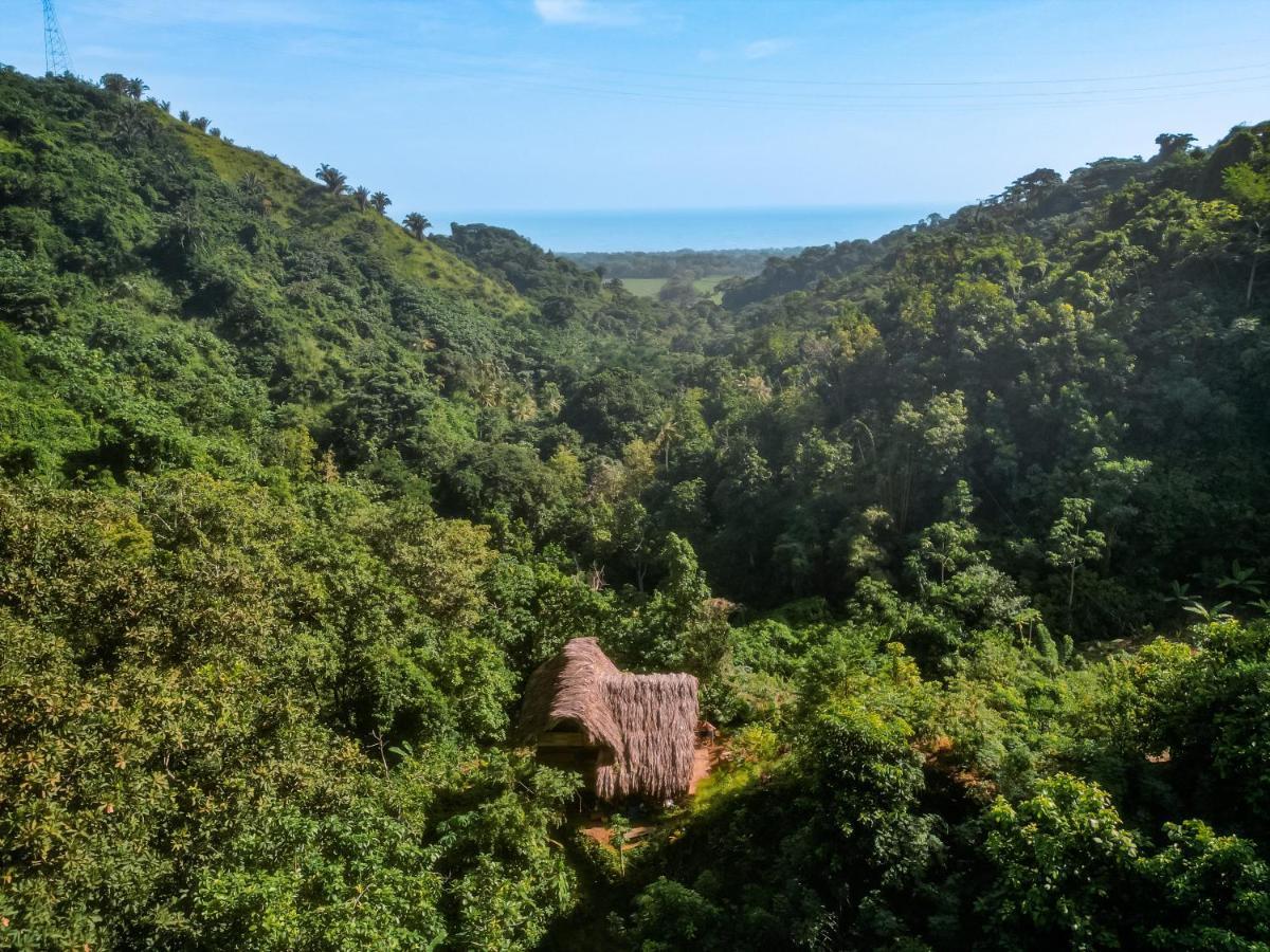 Finca La Selvita Chocolate Experience Buritaca Dış mekan fotoğraf