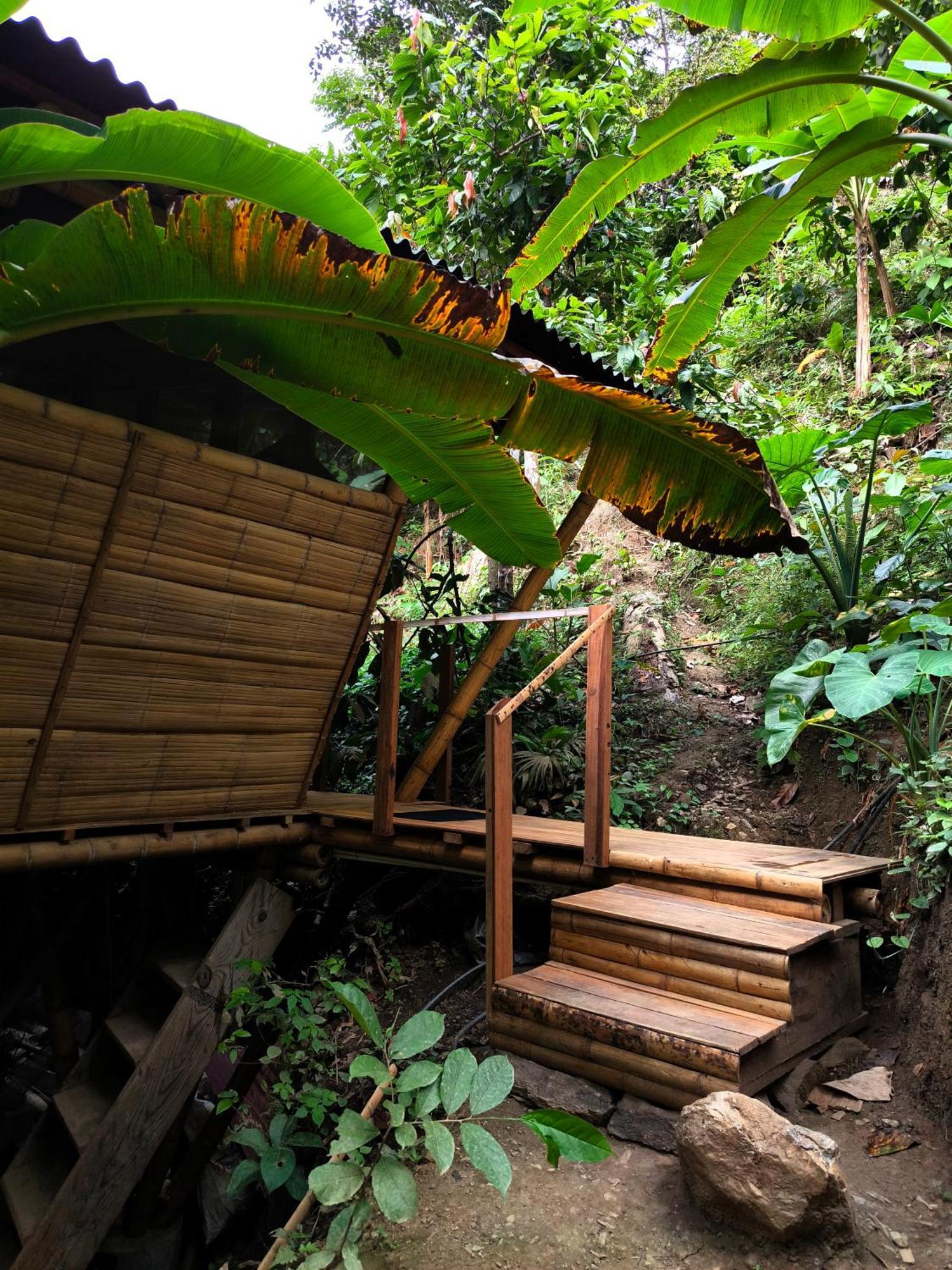 Finca La Selvita Chocolate Experience Buritaca Dış mekan fotoğraf